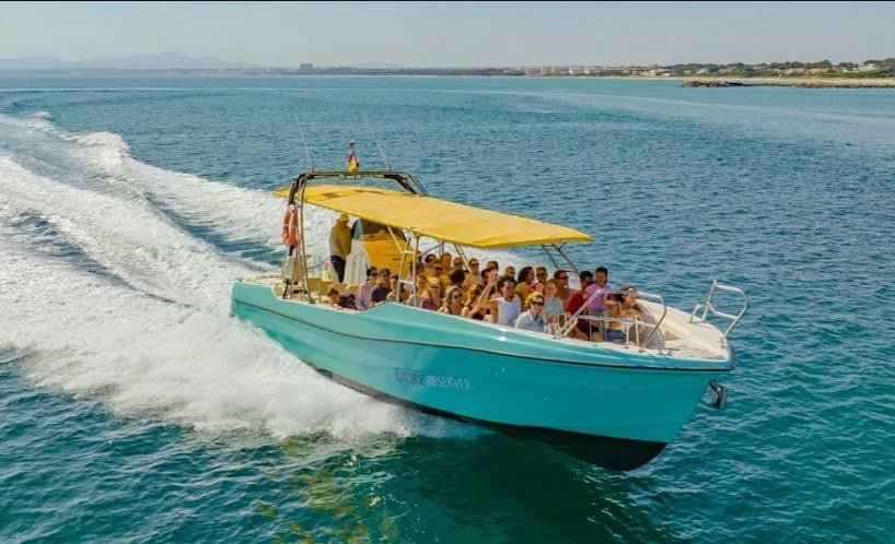 alcudia sea trips