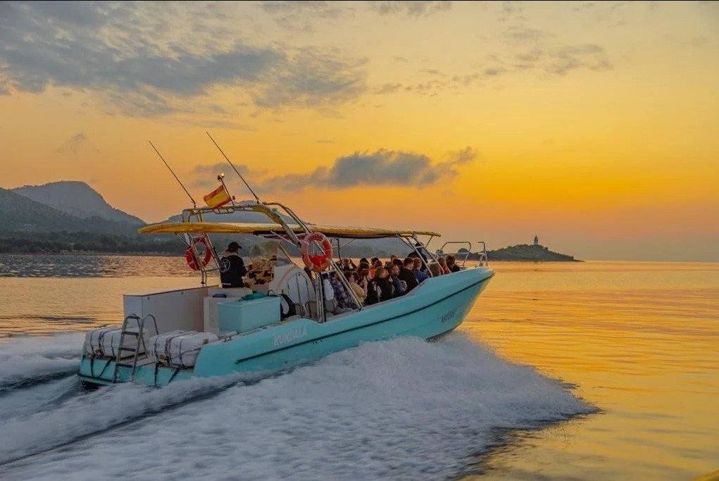 dolphin boat trips in alcudia