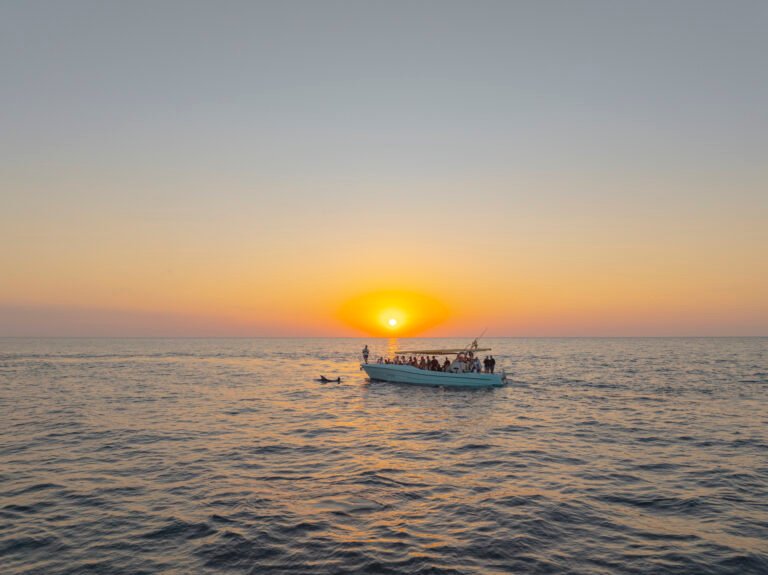 Top 5 excursiones en Alcudia: experiencias imprescindibles en Mallorca